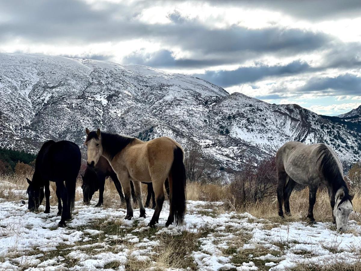 Appartamento Monte Oiz Con Wifi Y Parking Gratis Sierra Nevada Esterno foto